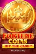 Fortune Coins slot más popular en MK2WIN COM